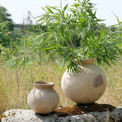 Two round beige ceramic pots displayed outdoors on a stone in a grassy field, with green bamboo branches placed in the larger pot.